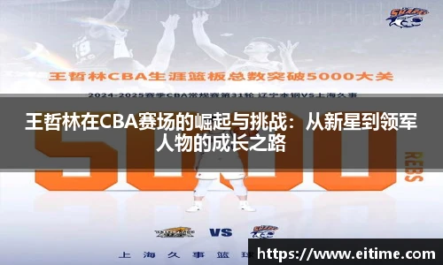 王哲林在CBA赛场的崛起与挑战：从新星到领军人物的成长之路